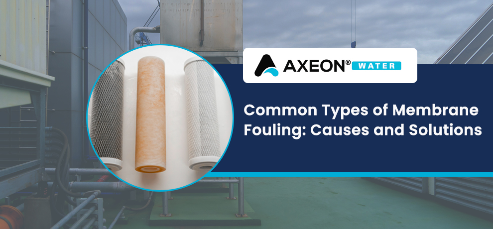 Common Types of Membrane Fouling: Causes and Solutions